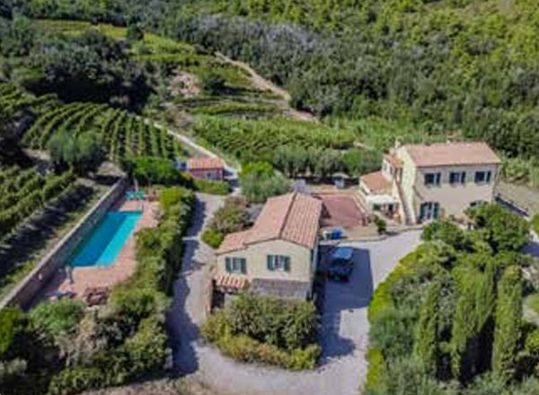 azienda agricola in vendita a Portoferraio