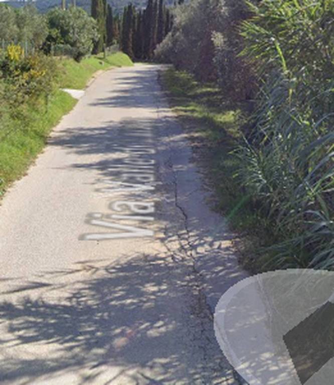 azienda agricola in vendita a Portoferraio in zona Valle di Lazzaro