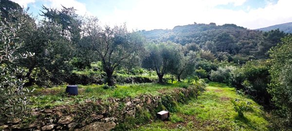 terreno agricolo in vendita a Portoferraio in zona San Martino