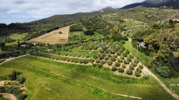 terreno agricolo in vendita a Portoferraio