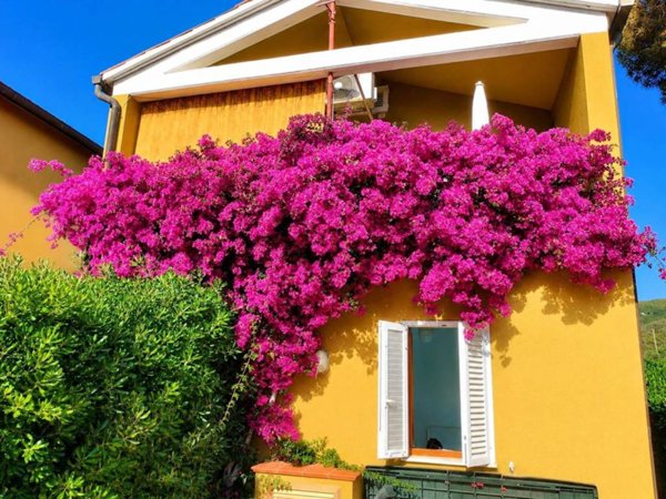 appartamento in vendita a Portoferraio