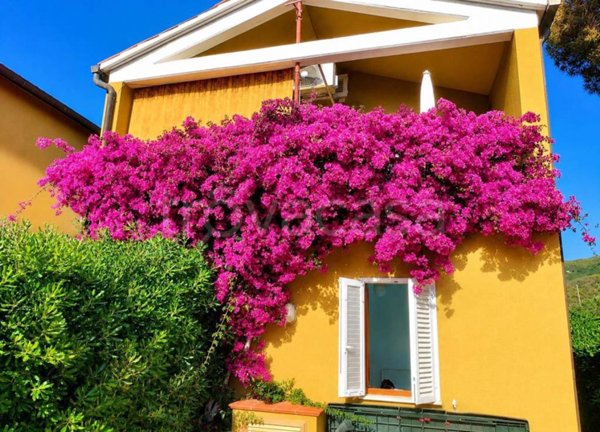 appartamento in vendita a Portoferraio in zona Magazzini