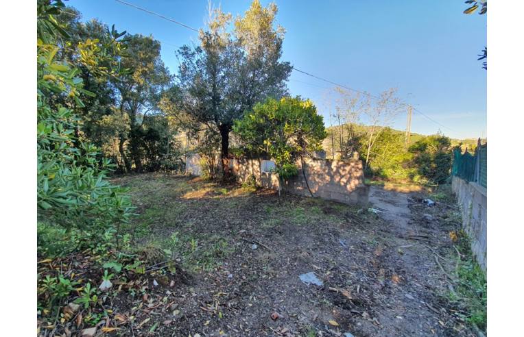 terreno agricolo in vendita a Portoferraio in zona Acquaviva