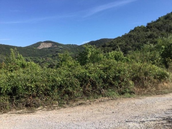 terreno agricolo in vendita a Portoferraio