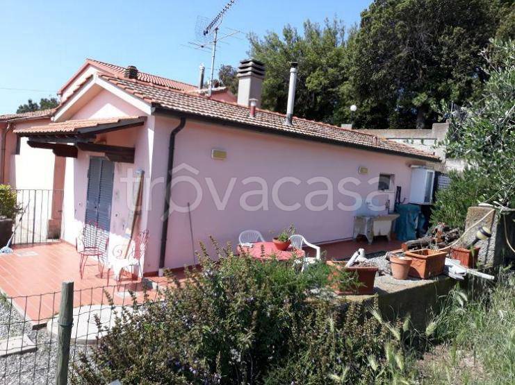 terreno agricolo in vendita a Rosignano Marittimo in zona Castiglioncello