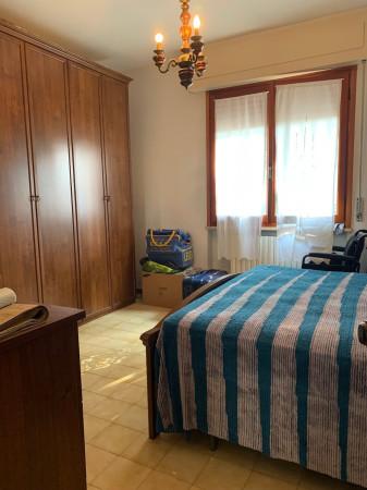 appartamento in vendita a Rosignano Marittimo