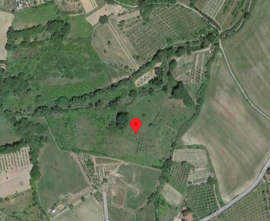 terreno agricolo a Rosignano Marittimo in zona Castelnuovo della Misericordia