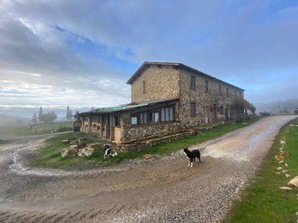 casa indipendente in vendita a Rosignano Marittimo in zona Castiglioncello