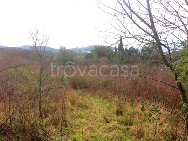 terreno agricolo in vendita a Rosignano Marittimo in zona Nibbiaia