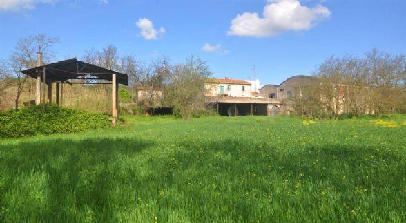 negozio in vendita a Rosignano Marittimo