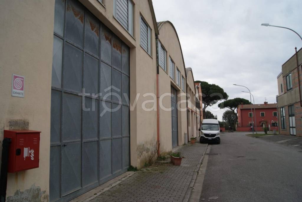 capannone in vendita a Rosignano Marittimo in zona Vada