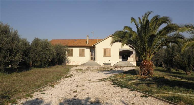 casa indipendente in vendita a Rosignano Marittimo in zona Vada