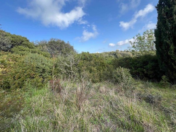 terreno agricolo in vendita a Rosignano Marittimo in zona Castiglioncello