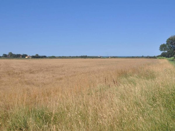 terreno agricolo in vendita a Rosignano Marittimo in zona Vada