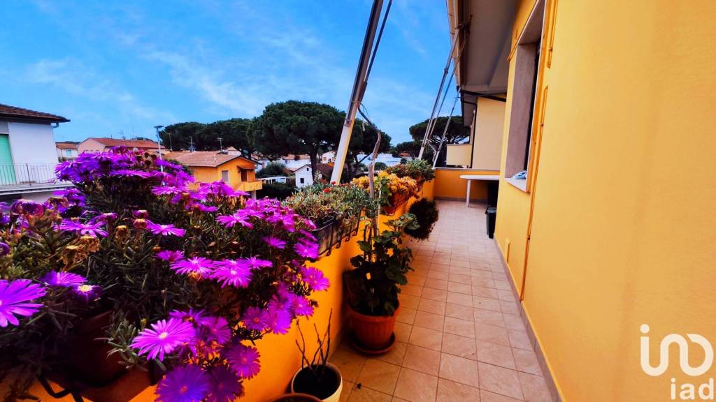 appartamento in vendita a Rosignano Marittimo in zona La Mazzanta