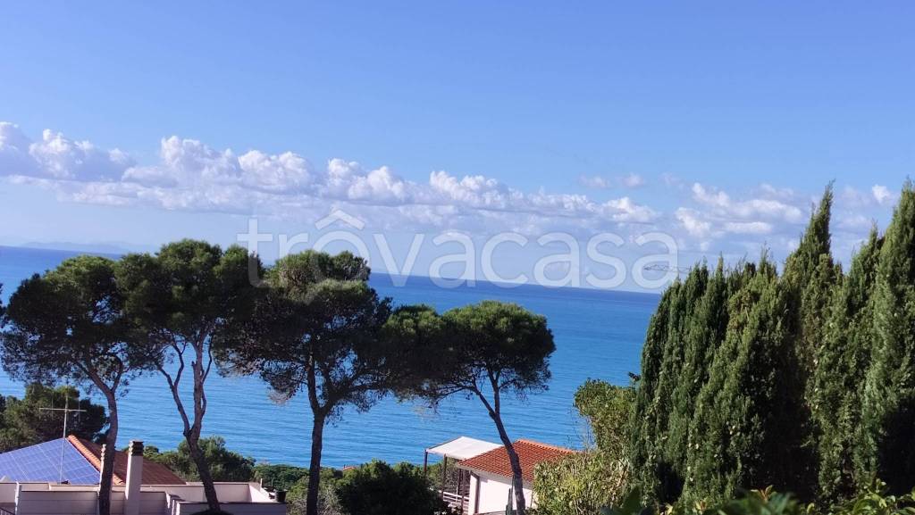 casa indipendente in vendita a Rosignano Marittimo in zona Nibbiaia