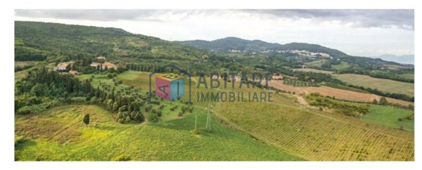 casa indipendente in vendita a Rosignano Marittimo in zona Gabbro