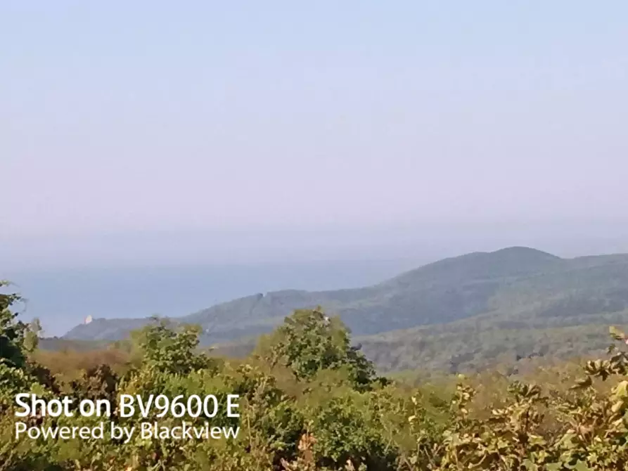 terreno agricolo in vendita a Rosignano Marittimo in zona Nibbiaia