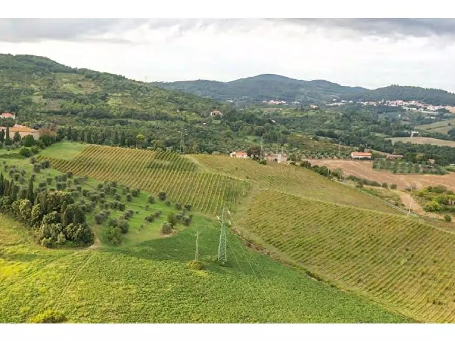 casa indipendente in vendita a Rosignano Marittimo