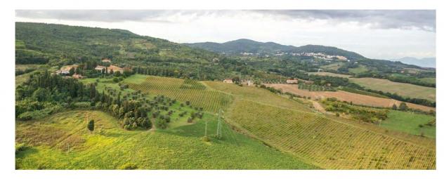 terreno agricolo in vendita a Rosignano Marittimo in zona Gabbro