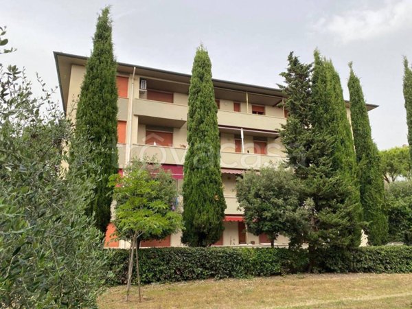 appartamento in vendita a Rosignano Marittimo in zona Castiglioncello