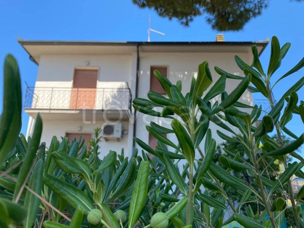 appartamento in vendita a Rosignano Marittimo in zona Vada