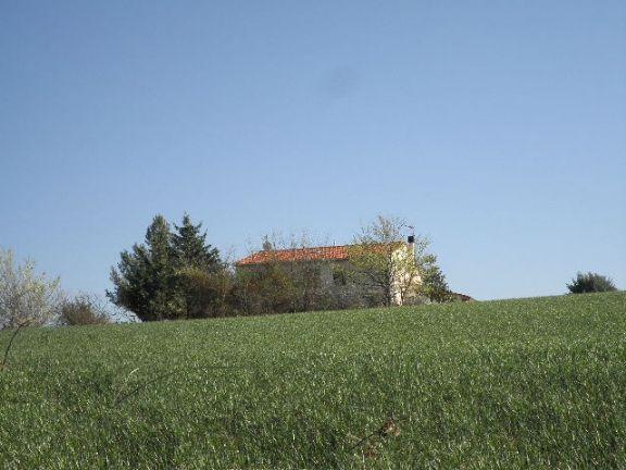 appartamento in vendita a Rosignano Marittimo