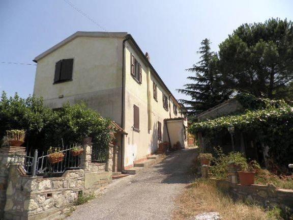 appartamento in vendita a Rosignano Marittimo