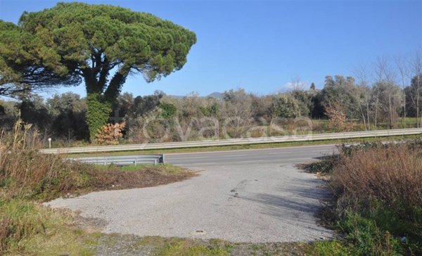 negozio in vendita a Rosignano Marittimo in zona Vada
