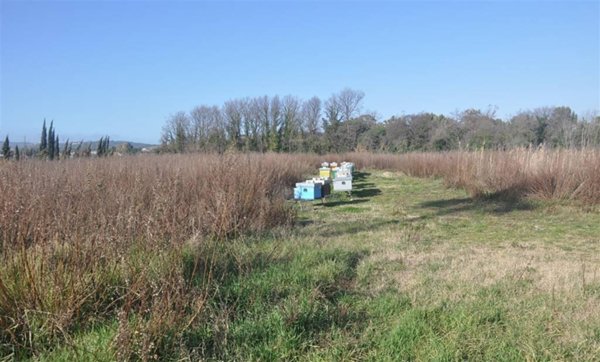 negozio in vendita a Rosignano Marittimo in zona Vada