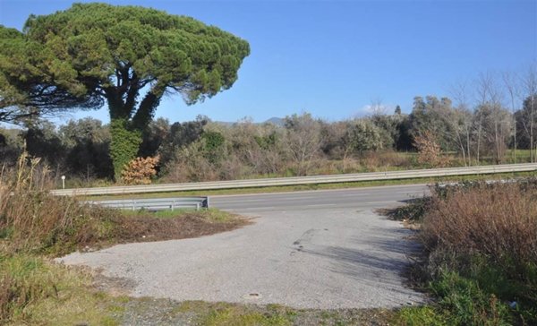 negozio in vendita a Rosignano Marittimo in zona Vada