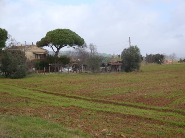 appartamento in vendita a Rosignano Marittimo in zona Vada