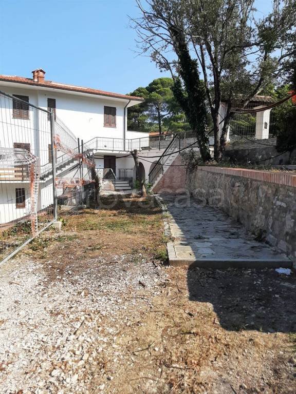 appartamento in vendita a Rosignano Marittimo