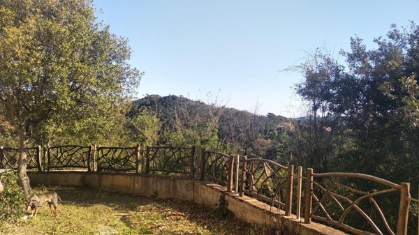 casa indipendente in vendita a Rosignano Marittimo in zona Gabbro