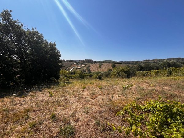 terreno agricolo a Rosignano Marittimo in zona Castelnuovo della Misericordia