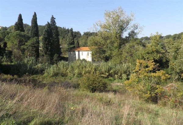 casa indipendente in vendita a Rosignano Marittimo