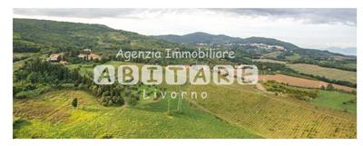 casa indipendente in vendita a Rosignano Marittimo in zona Gabbro