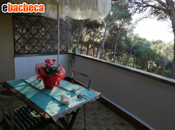 appartamento in vendita a Rosignano Marittimo in zona Castiglioncello