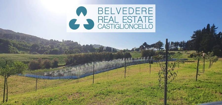 terreno agricolo in vendita a Rosignano Marittimo in zona Rosignano Solvay