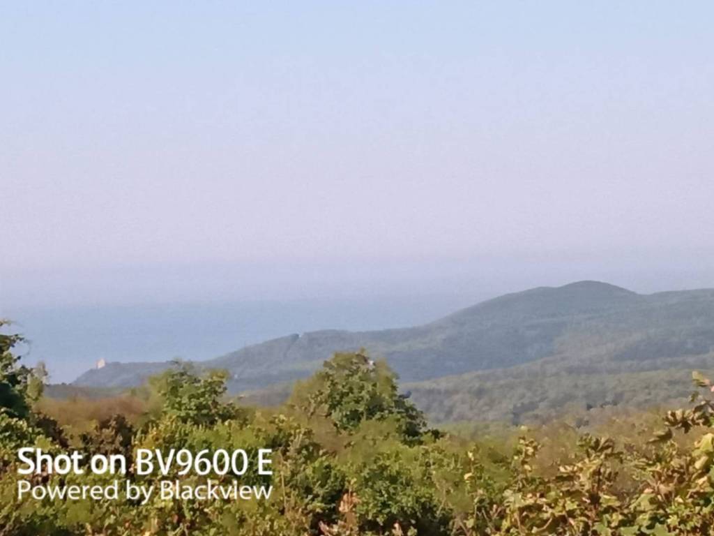 terreno agricolo in vendita a Rosignano Marittimo in zona Nibbiaia