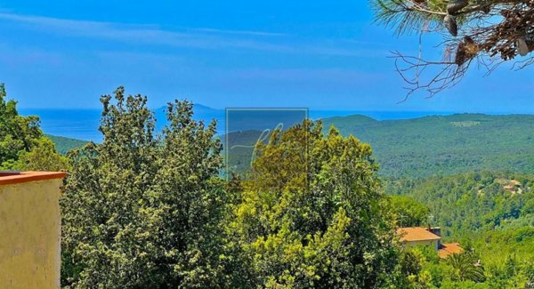 casa indipendente in vendita a Rosignano Marittimo in zona Nibbiaia