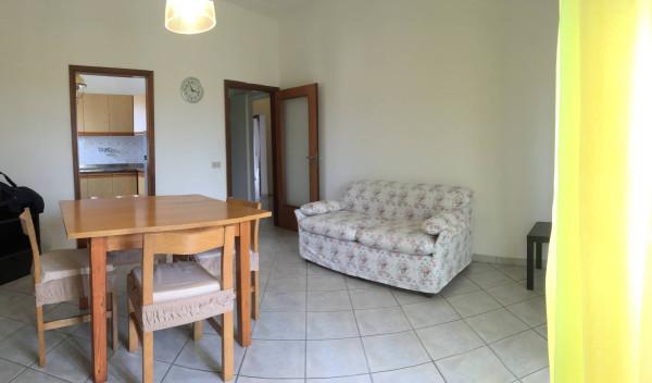 appartamento in vendita a Rosignano Marittimo