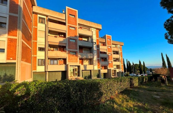 appartamento in vendita a Rosignano Marittimo