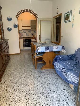 appartamento in vendita a Rosignano Marittimo