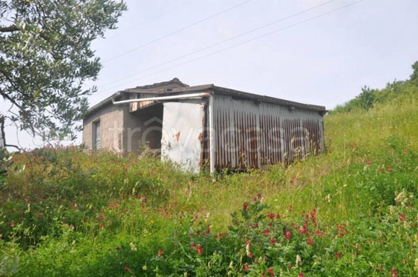 casa indipendente in vendita a Rosignano Marittimo