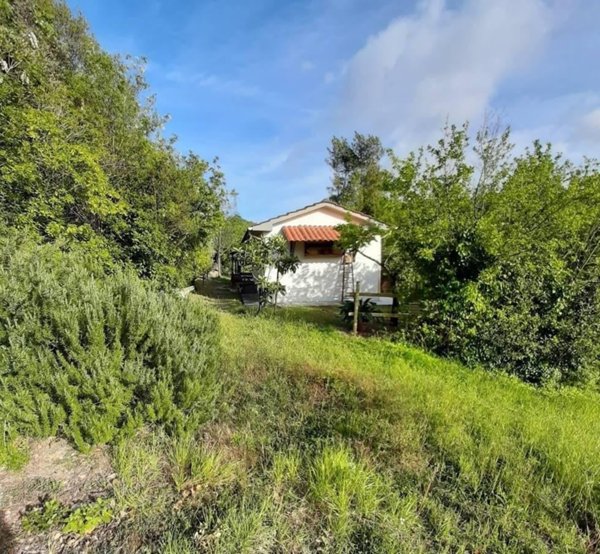 casale in vendita a Rosignano Marittimo