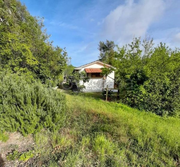 casa indipendente in vendita a Rosignano Marittimo