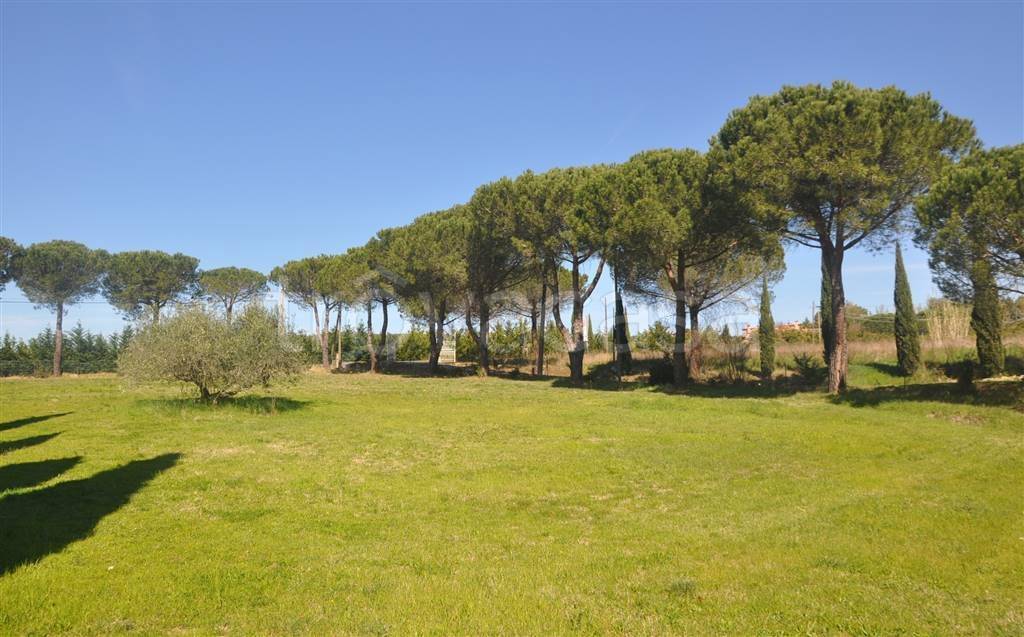 casa indipendente in vendita a Rosignano Marittimo