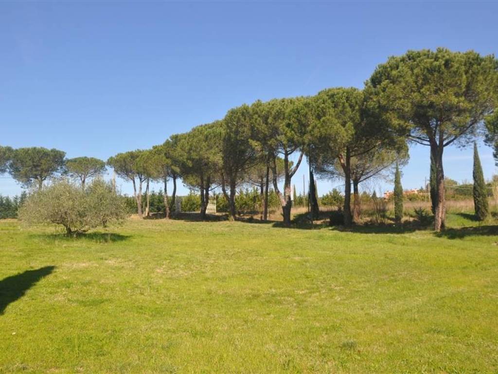 casa indipendente in vendita a Rosignano Marittimo