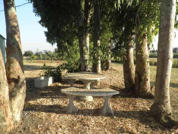 locale di sgombero in vendita a Rosignano Marittimo in zona Vada
